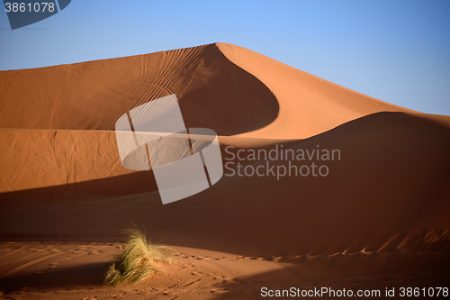 Image of Dunes, Morocco, Sahara Desert