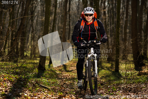 Image of Mountain biker riding on bike in springforest landscape. 