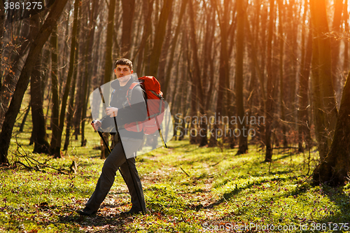 Image of Active healthy man hiking in beautiful forest