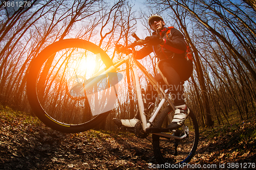 Image of Cyclist Riding the Bike