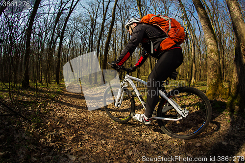 Image of Cyclist Riding the Bike