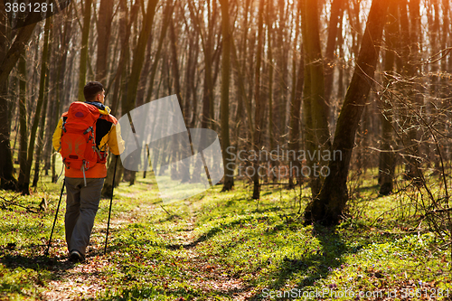 Image of Active healthy man hiking in beautiful forest