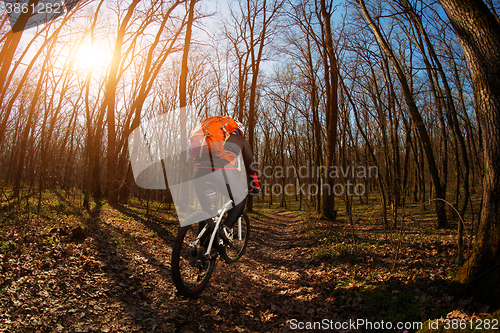 Image of Cyclist Riding the Bike