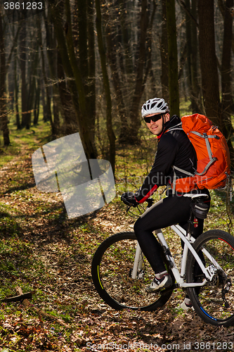 Image of Mountain biker riding on bike in springforest landscape. 