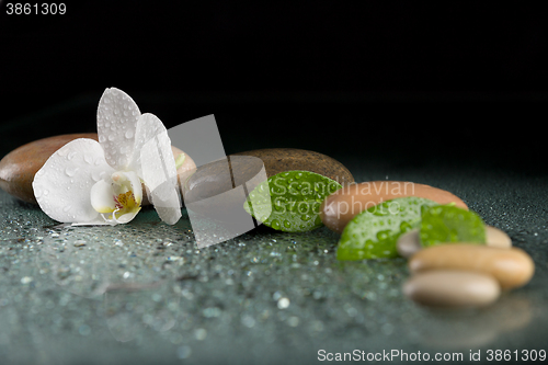 Image of zen stones with orchid flower on black