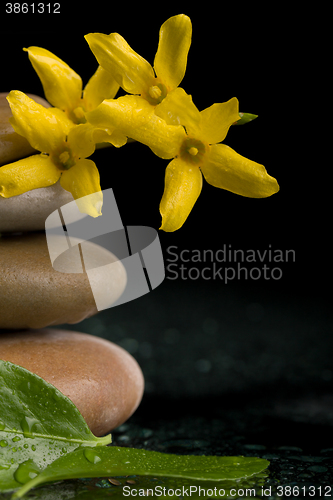 Image of balancing zen stones on black with yellow flower