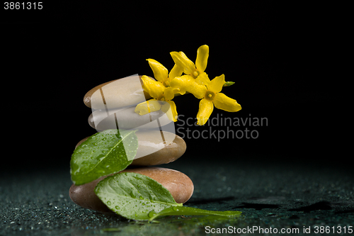 Image of balancing zen stones on black with yellow flower
