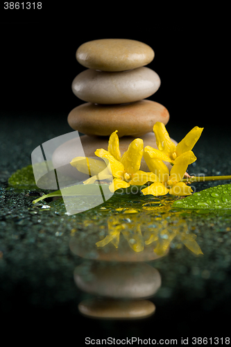 Image of balancing zen stones on black with yellow flower