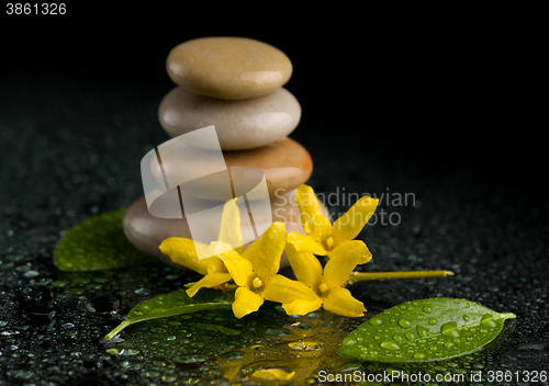 Image of balancing zen stones on black with yellow flower