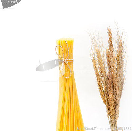 Image of organic Raw italian pasta and durum wheat 