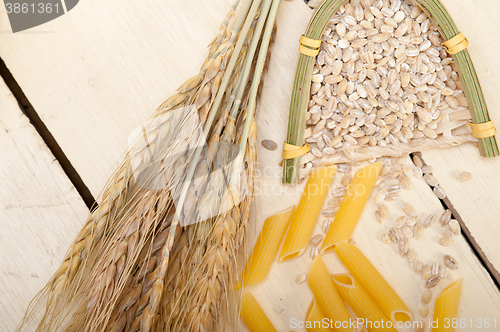 Image of Italian pasta penne with wheat