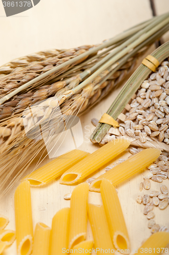 Image of Italian pasta penne with wheat