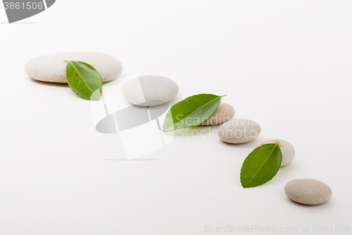 Image of zen stones and green leaf