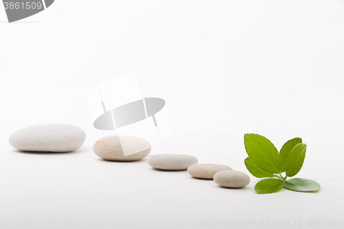 Image of zen stones and green leaf