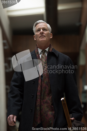 Image of handsome senior business man walking