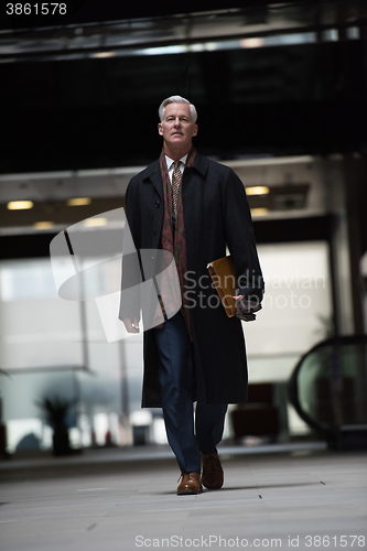 Image of handsome senior business man walking