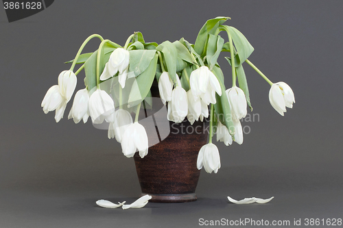 Image of Vase full of droopy and dead flowers