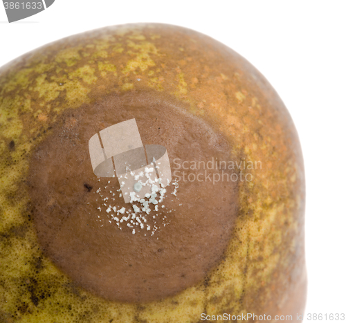 Image of Close up of a pear with white area of fungus growing on it, sele