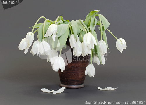 Image of Vase full of droopy and dead flowers