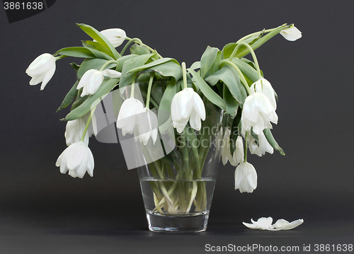 Image of Vase full of droopy and dead flowers