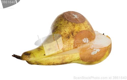 Image of Close up of a pear with white area of fungus growing on it, sele