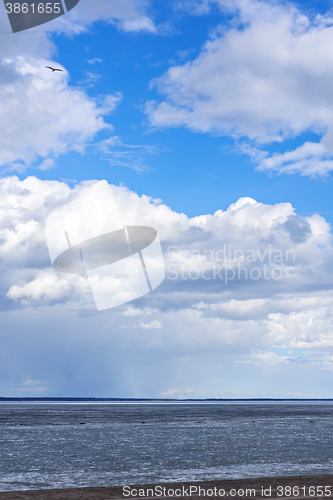 Image of Sky above lake in spring and gull