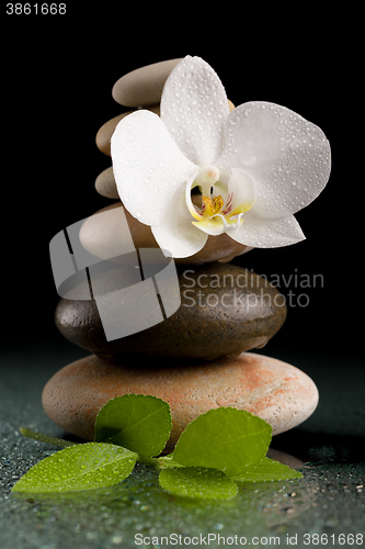 Image of balancing zen stones on black with white flower