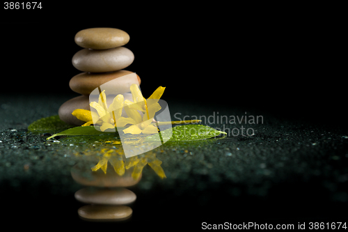 Image of balancing zen stones on black with yellow flower