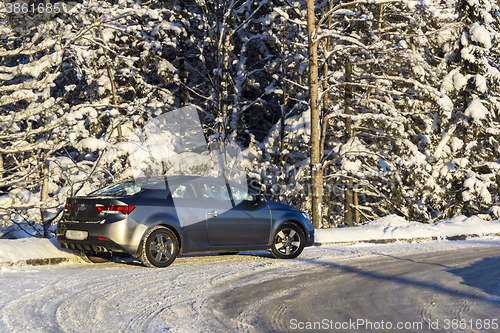 Image of Coup car in winter pine forest
