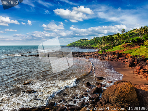 Image of Anjuna Beach, Goa