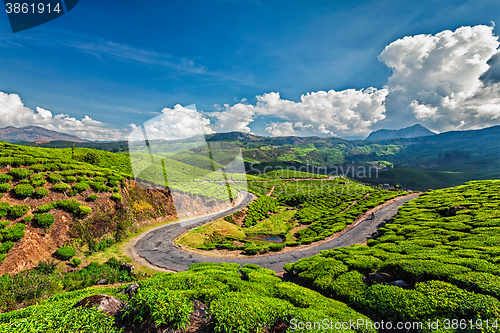 Image of Road in tea plantations, India