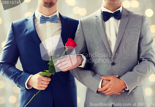 Image of close up of happy male gay couple holding hands