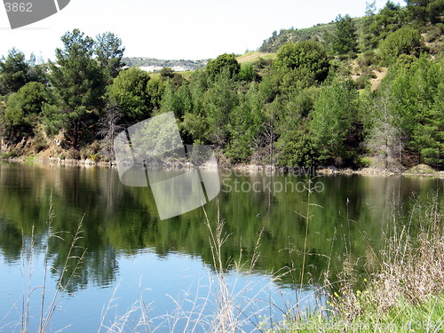 Image of Lakes and trees. Cyprus