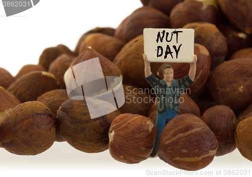 Image of Miniature worker working with hazelnuts