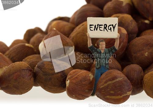 Image of Miniature worker working with hazelnuts