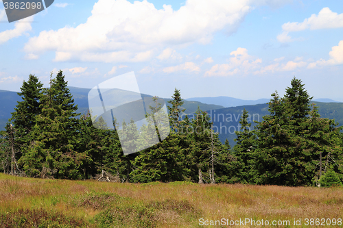 Image of jeseniky mountains nature