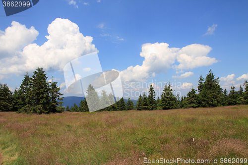 Image of jeseniky mountains nature