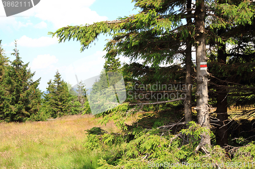 Image of jeseniky mountains nature