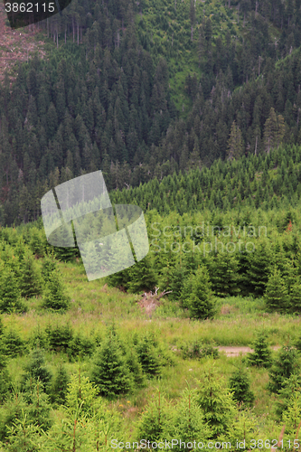 Image of jeseniky mountains nature