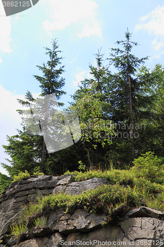 Image of jeseniky mountains nature