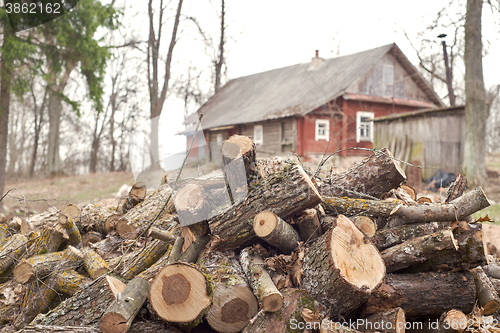 Image of Heap of chopped logs