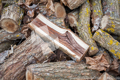 Image of pile of logs