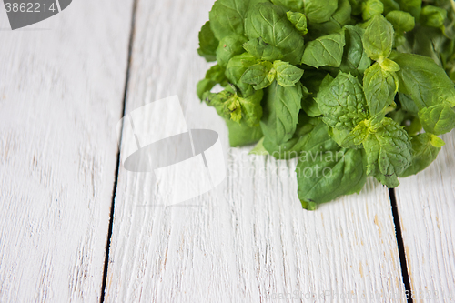 Image of Fresh peppermint on wood 