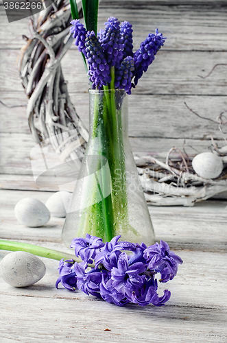 Image of Still life with hyacinths