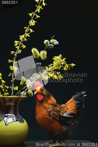 Image of chicken with vase