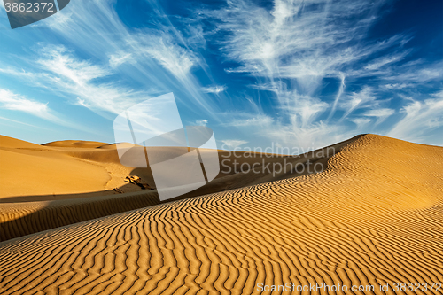 Image of Sand dunes in desert