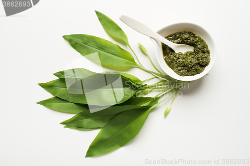 Image of Wild garlic