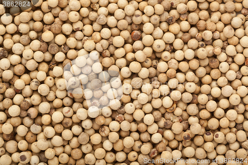 Image of White peppercorn