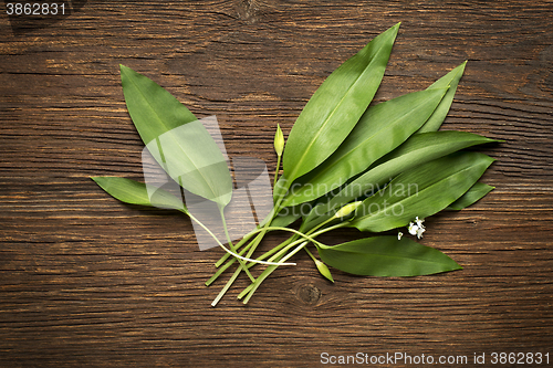 Image of Wild garlic