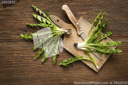 Image of Dandelion